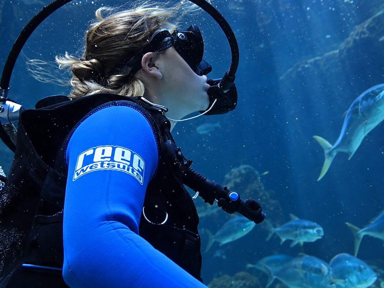 Underwater aquarium environment related to marine conservation.